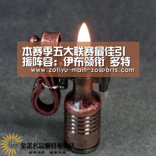 本赛季五大联赛最佳引援阵容:伊布领衔 多特米兰成最大赢家!|中欧体育官方网站下载(图1) 中欧体育app官方下载