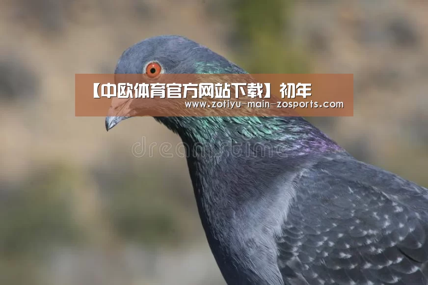 【中欧体育官方网站下载】初年(图3) 中欧体育官网登录入口